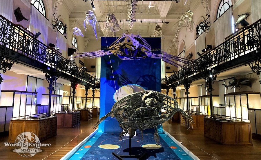 океанографския-музей-монако