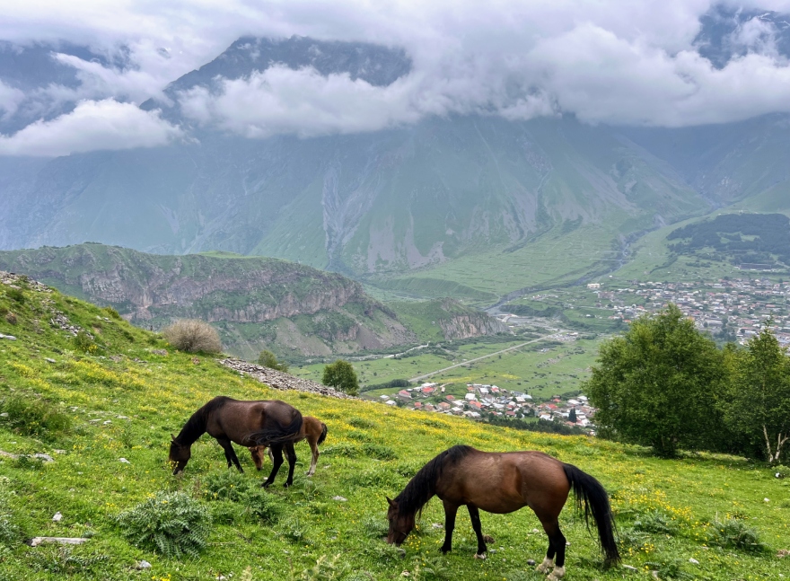 грузия казбеги коне