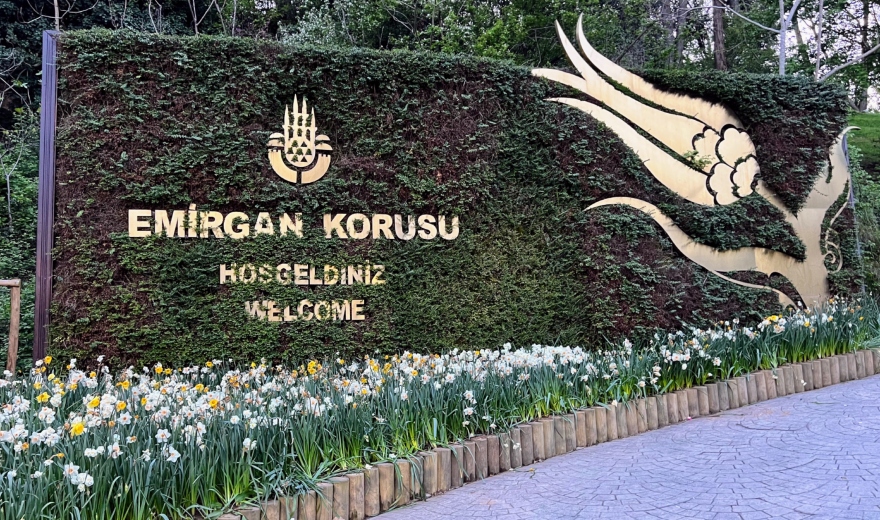 парк емирган Истанбул